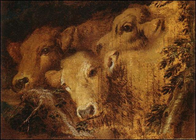 Giovanni Benedetto Castiglione. Estudio de tres cabezas de ternero. Oleo sobre papel pegado a lienzo. 24 x 35 cm.